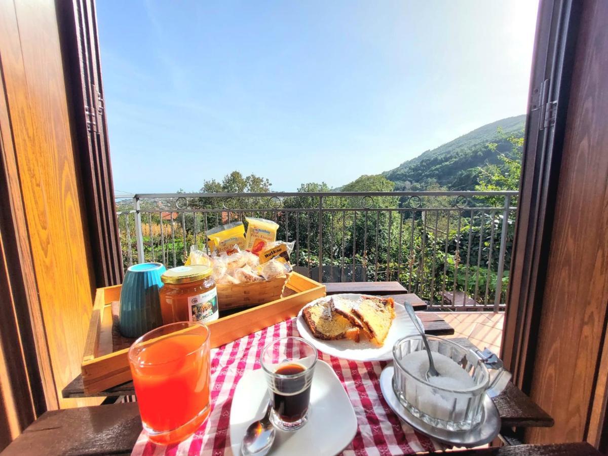 Agriturismo Il Pettirosso Agerola Exterior foto
